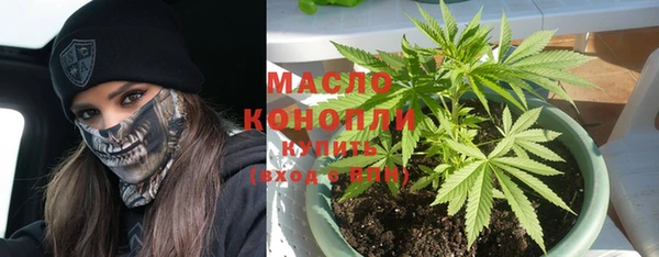 винт Вяземский