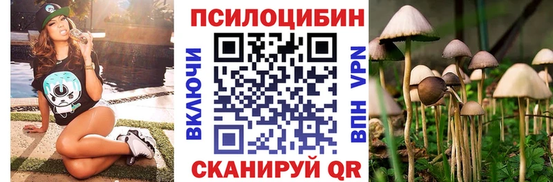kraken как войти Зеленоградск Псилоцибиновые грибы Magic Shrooms